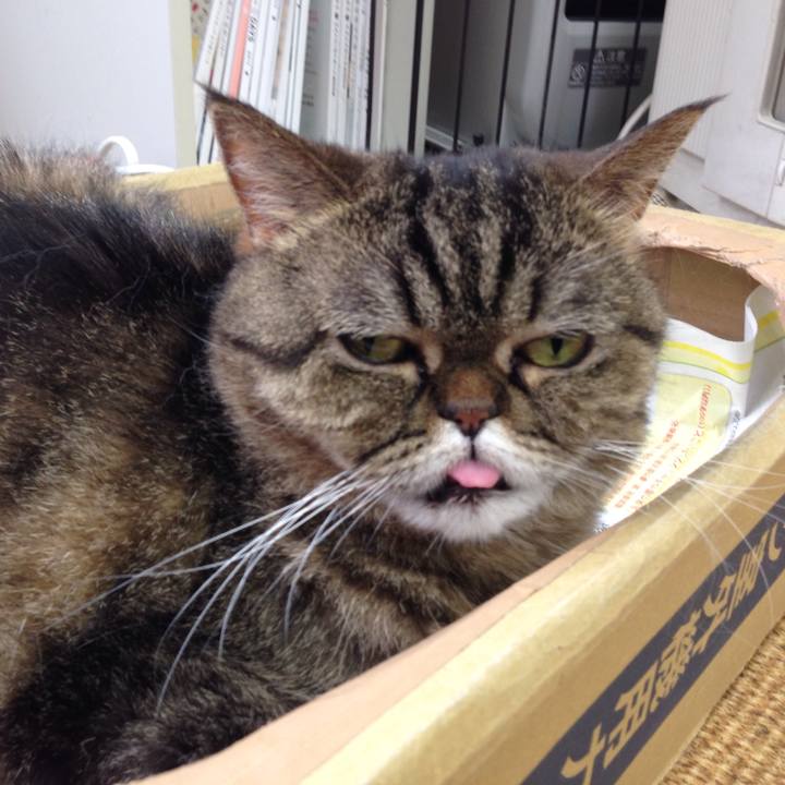 F4da632e b38f 4796 9f5b 31ffa2971bf8