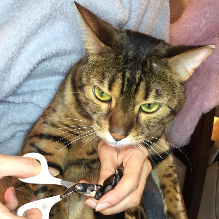 F4da8169 cb10 4680 b9c9 51d232a5a3d1