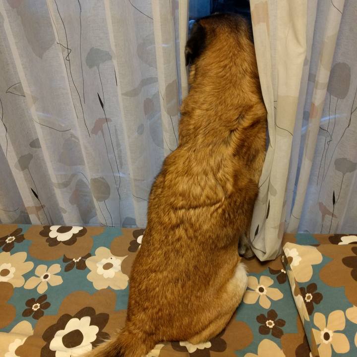 F4dac6fe 6246 48ab ae1c de645a1eb1ac