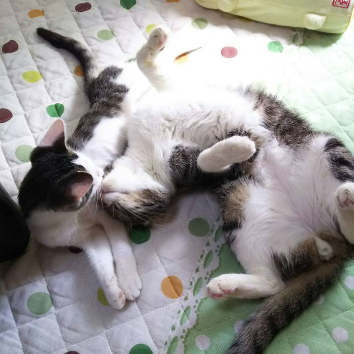 F4db5ed0 1f57 4b3c 9e50 25f008e34063