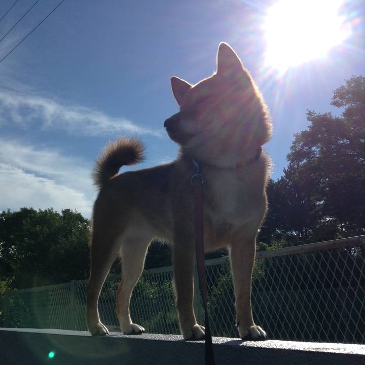 F4db610e 418b 4278 b50a 1a39725f9623