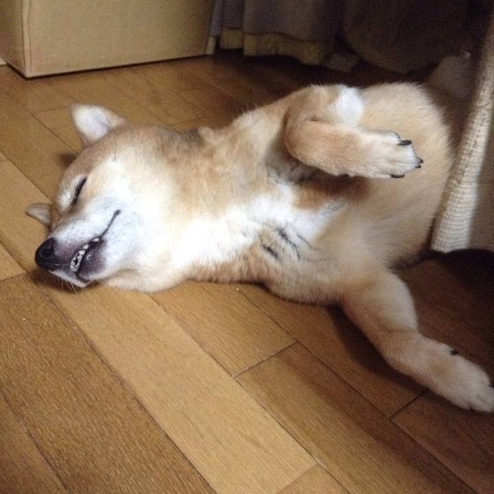 F4dbc106 896b 4b85 abc1 6ae91f3817b7