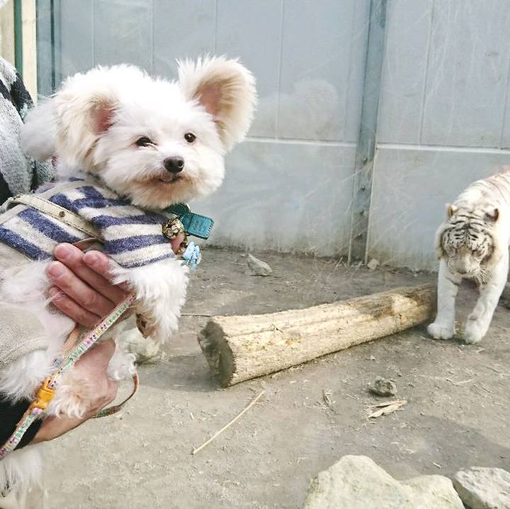 F4dbeb41 11fb 46bf 9b79 b11bd4c65c48