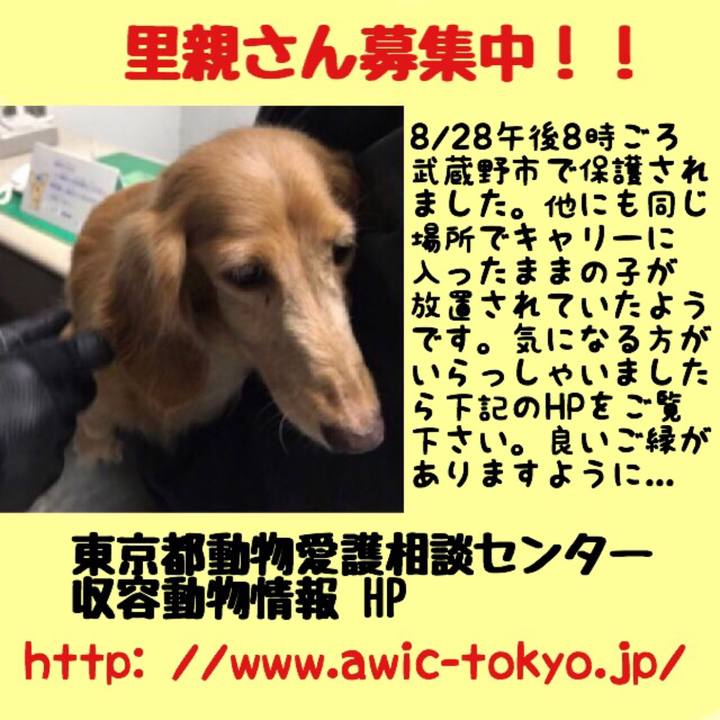 F4dc22d2 ba4e 4f7c 98b4 cd6c4090c7d7