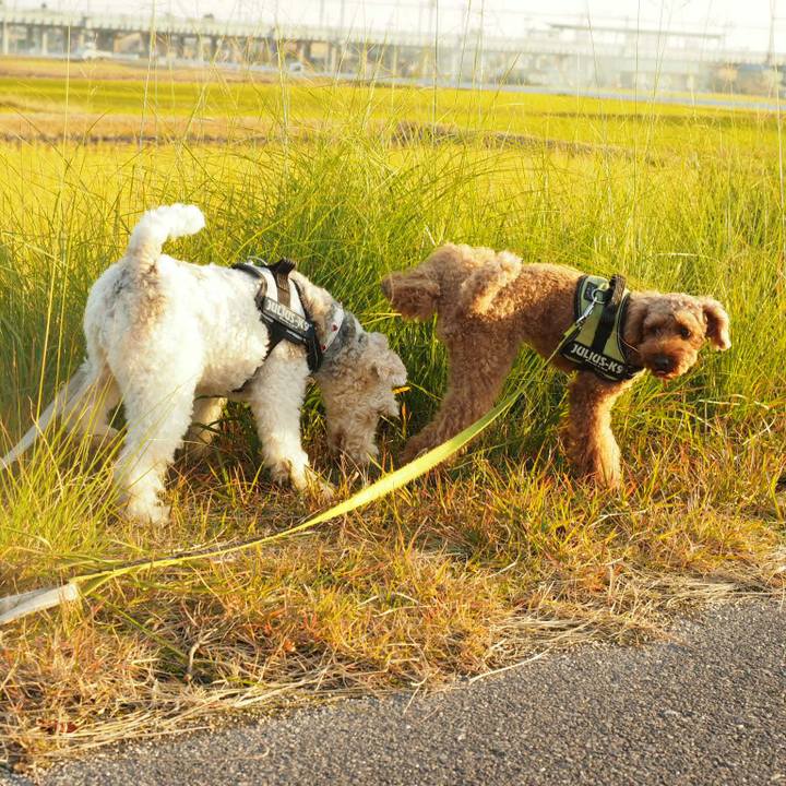 F4dc9a18 bdb2 43f0 84c0 8728e8ac45de