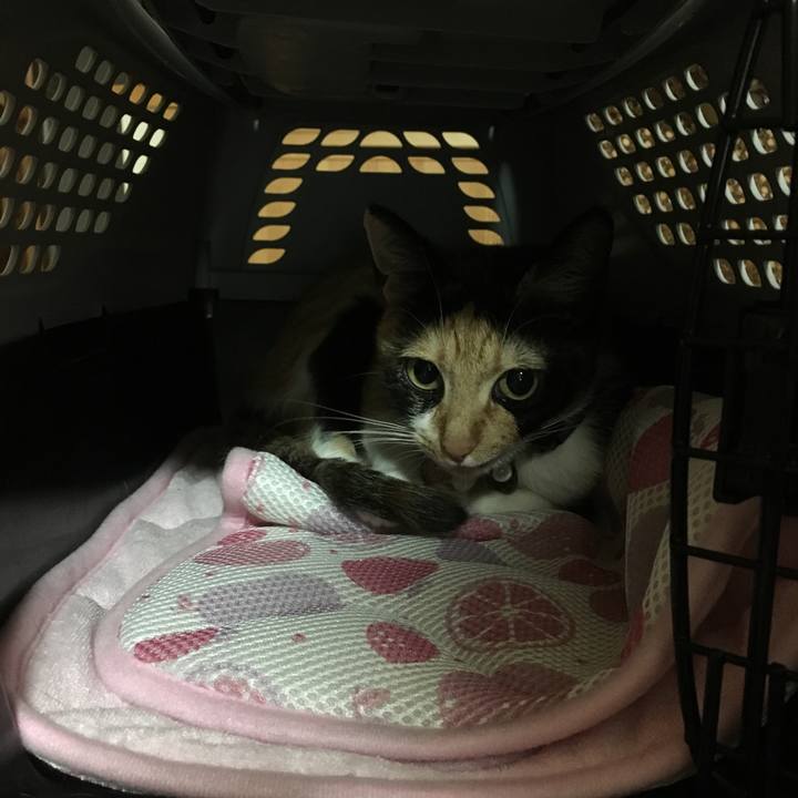 F4dd32dd 05b9 4c58 ba89 9640e84ab62b