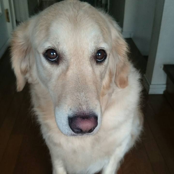 F4dd5c7a 57b4 495b b19b 8b491d10abc1