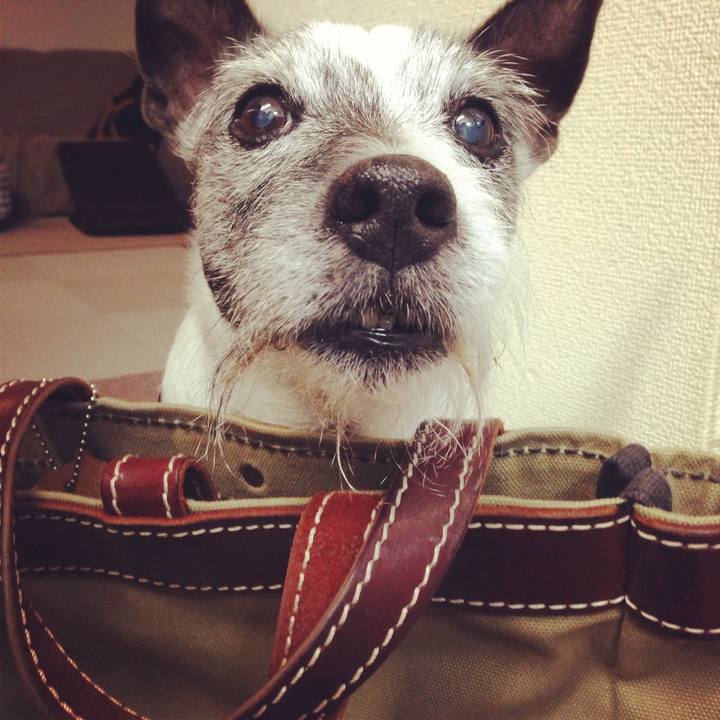 F4dda97e 7498 41e6 8292 26eafbf8a1fd