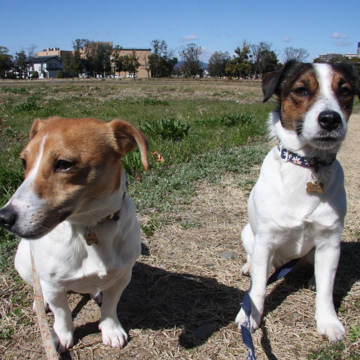 F4ddd0a9 c2c9 4b0d a260 d3f4893283a7