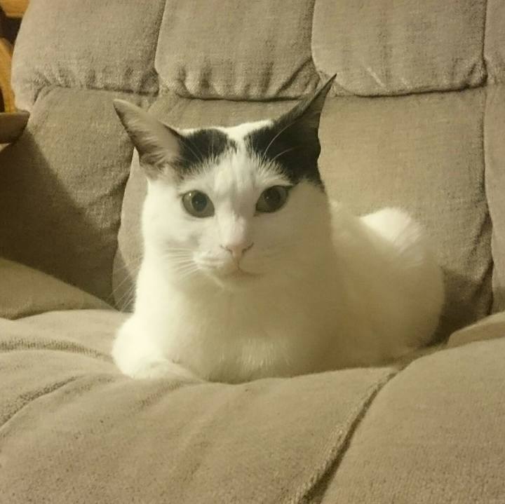 F4dddb3a b570 40c1 9aa8 a0164b6cf979