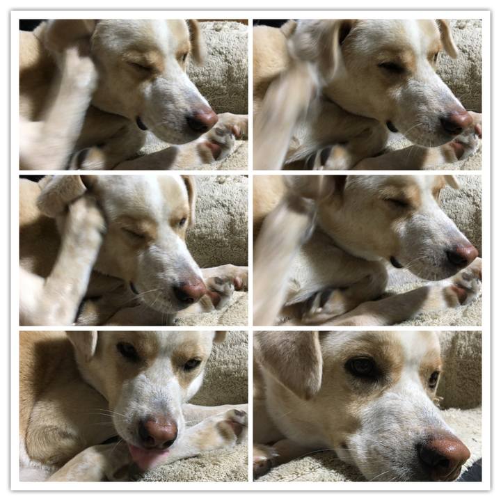 F4de7599 76ac 471c 9e72 3793f0093a29