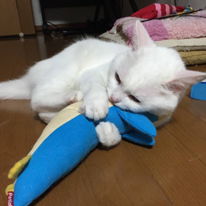 F4df14e3 e342 4406 b389 d60c26d66ba6