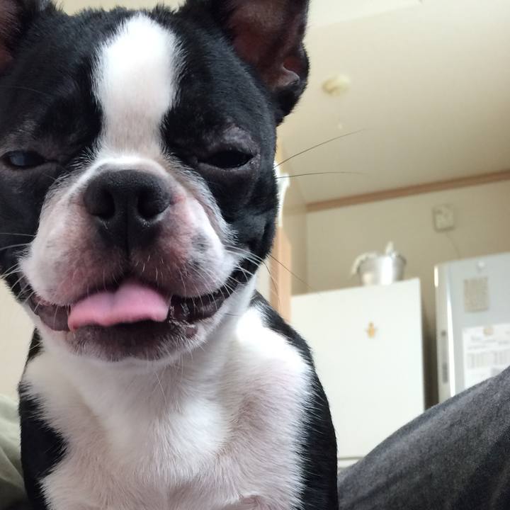 F4df4476 52d3 4bf4 a9b6 7b2dd658b06c