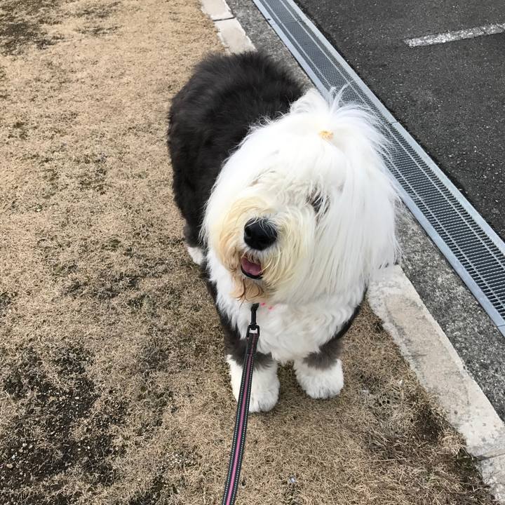 F4dfa771 68a2 4bb1 ab18 fa67db86c142