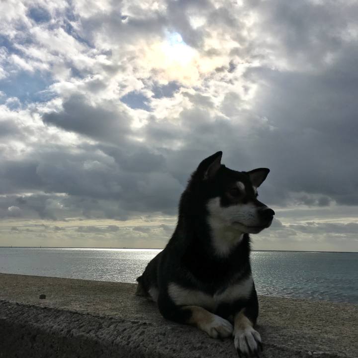 F4dfb757 d272 4e9e ab9e 242cdcb8fe82