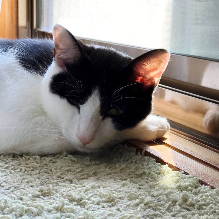 F4dfec2e 09e0 4eaa a367 c6f1f005a8d5