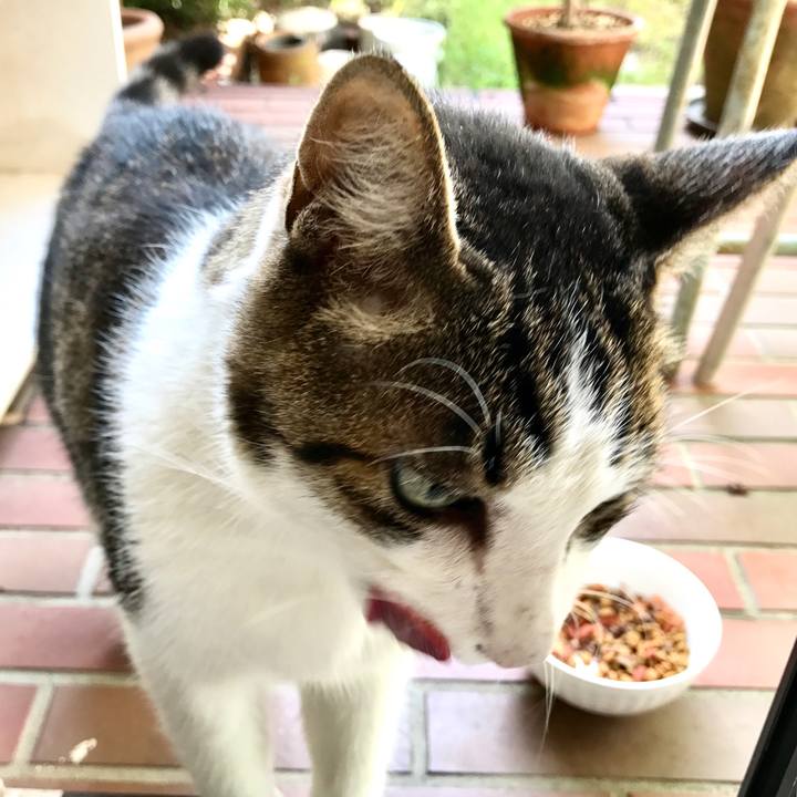 F4e03cc5 f0d2 4429 ade1 006b25fd28f4