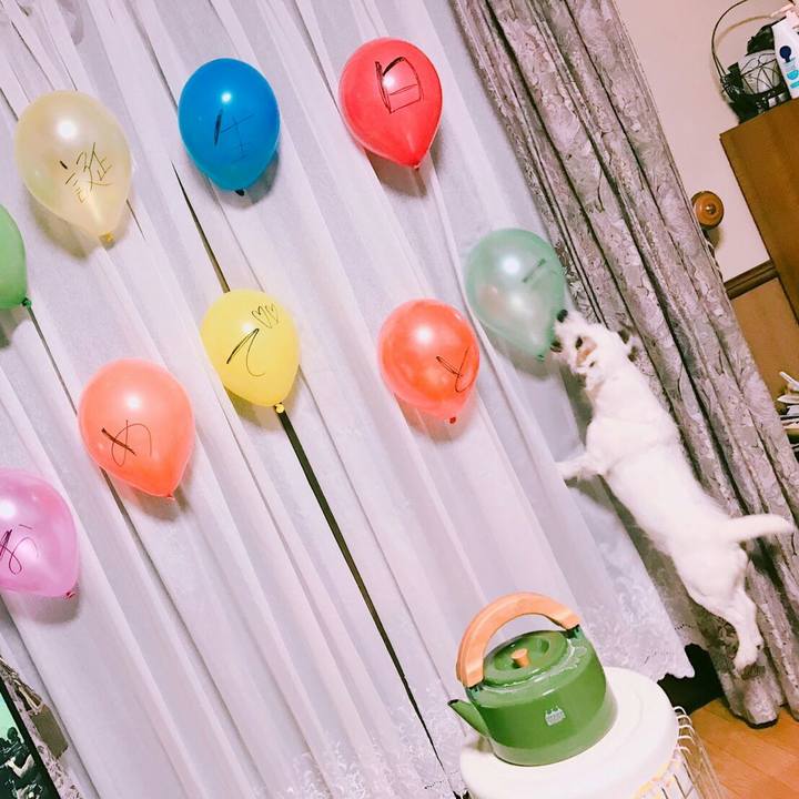 F4e0b6f7 64f9 4ca6 ab5b a3add34d14b6