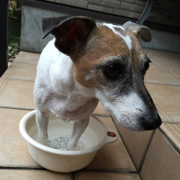 F4e0c538 24f8 4c53 8f0e a6bb801ec731