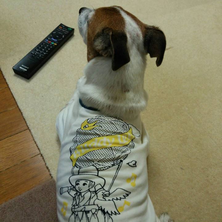 F4e21249 5e4e 4522 ac20 bcf1fa695672