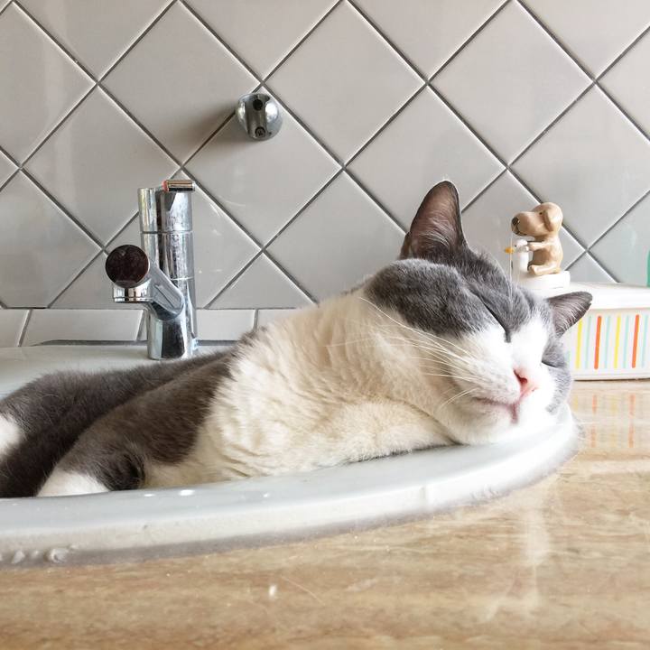 F4e3078a 27fa 4d24 a0a5 5044a883b388