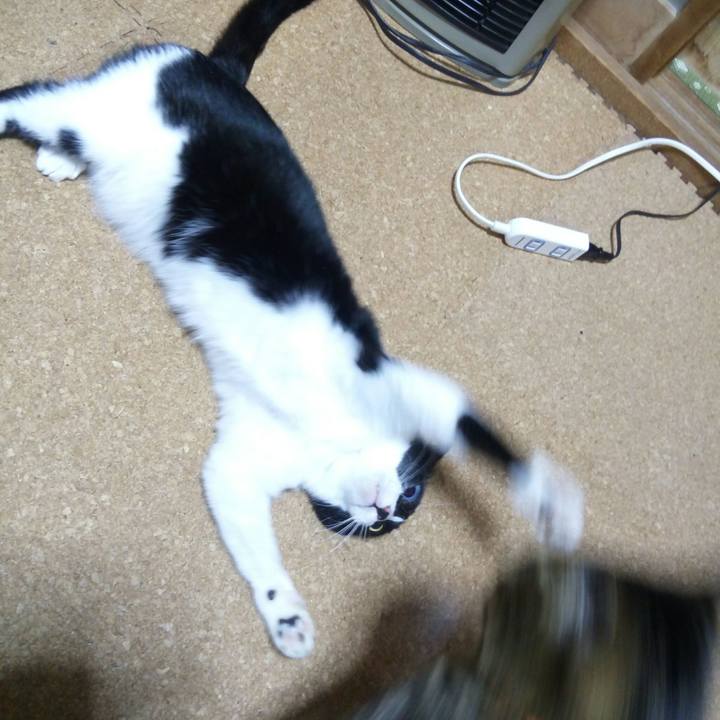 F4e35467 65e5 4ce7 b8c8 26b934d44f9c