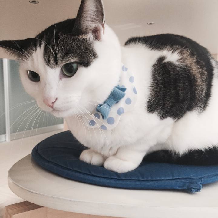 F4e395c3 c333 4639 b387 fe8613df060f