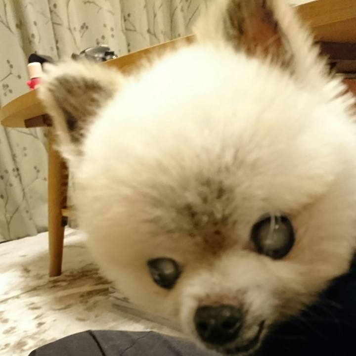 F4e3b92c 1316 47c2 91e6 a9fed649778f