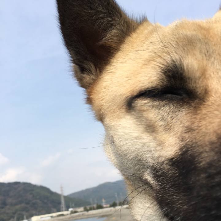 F4e3fd14 ac11 4f0f 9224 3e656ff2fe85