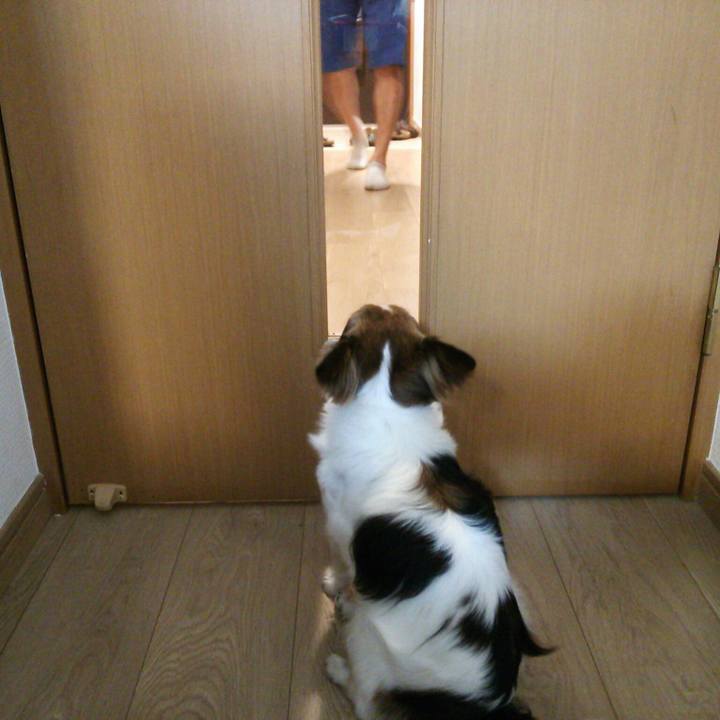 F4e4692e 81d7 4dd9 90ac 6fdfa22052d8