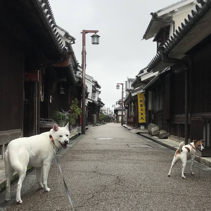 F4e4a56b 21a1 4537 a9ef 29ff12b34c5d