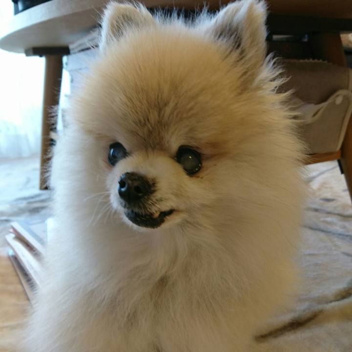 F4e4ac12 1bc2 44ae 8563 770a32abe1f3