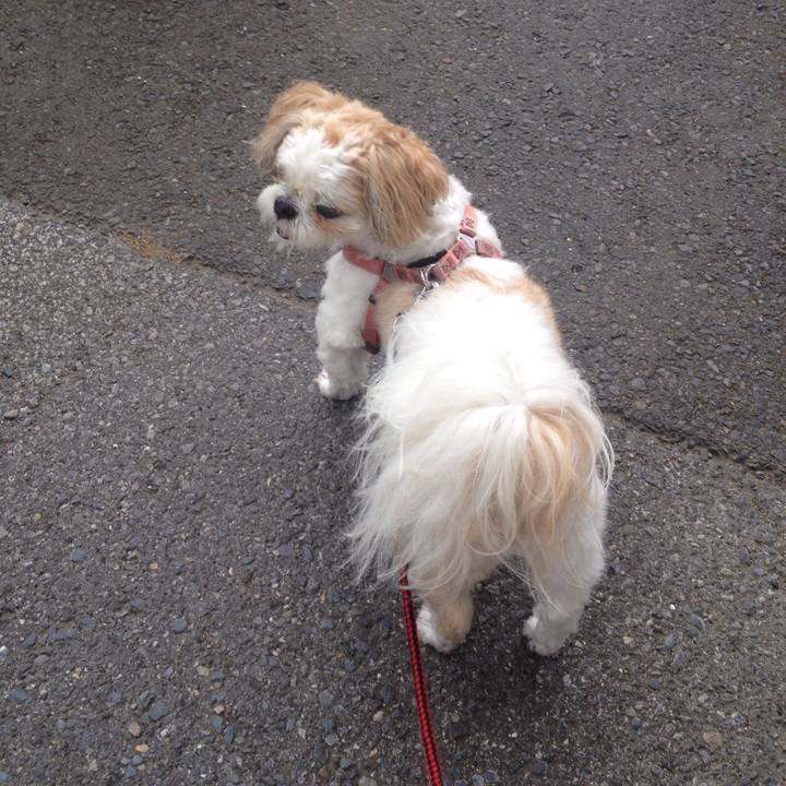 F4e516e2 5180 44ae 944e be119c9e0d15