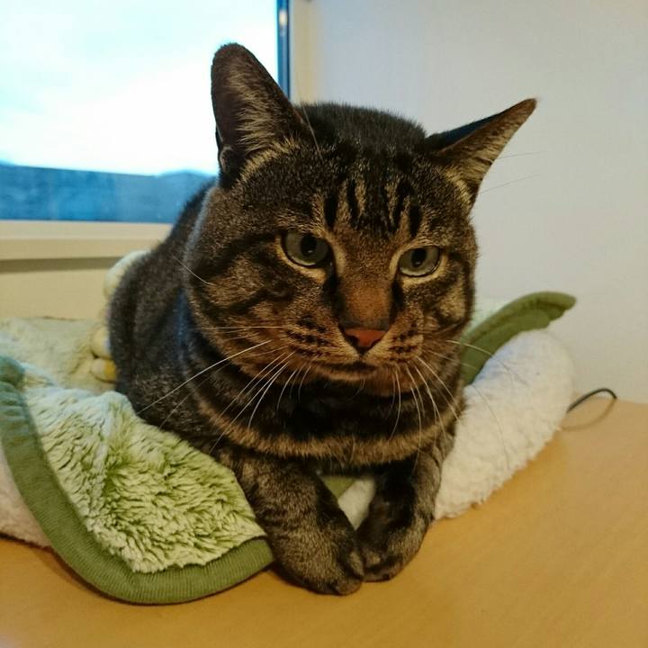 F4e53193 9c9f 42d2 b89c cf59bb9a3ed7