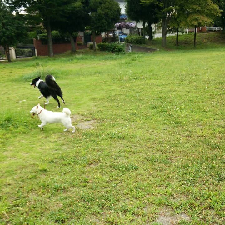 F4e59b73 815e 4da5 ac63 0ac511ac0a64