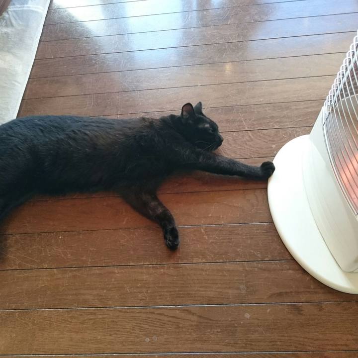 F4e5a96c 84e2 4d94 80f7 ead4a2c731be