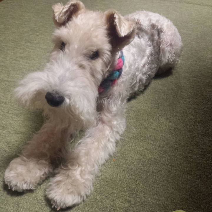 F4e5eeb8 1509 40ee ae85 c28f83bd7a01