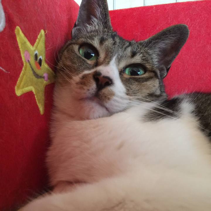 F4e6016e 635e 47e2 9b89 aa0749bc8b79