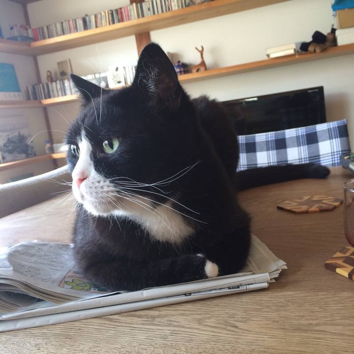 F4e61423 61b8 4e10 8aa1 84a0b50b1121