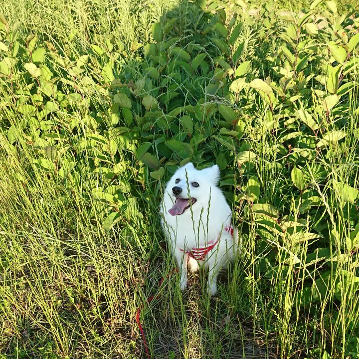 F4e6a318 2622 4728 8558 facf58423603