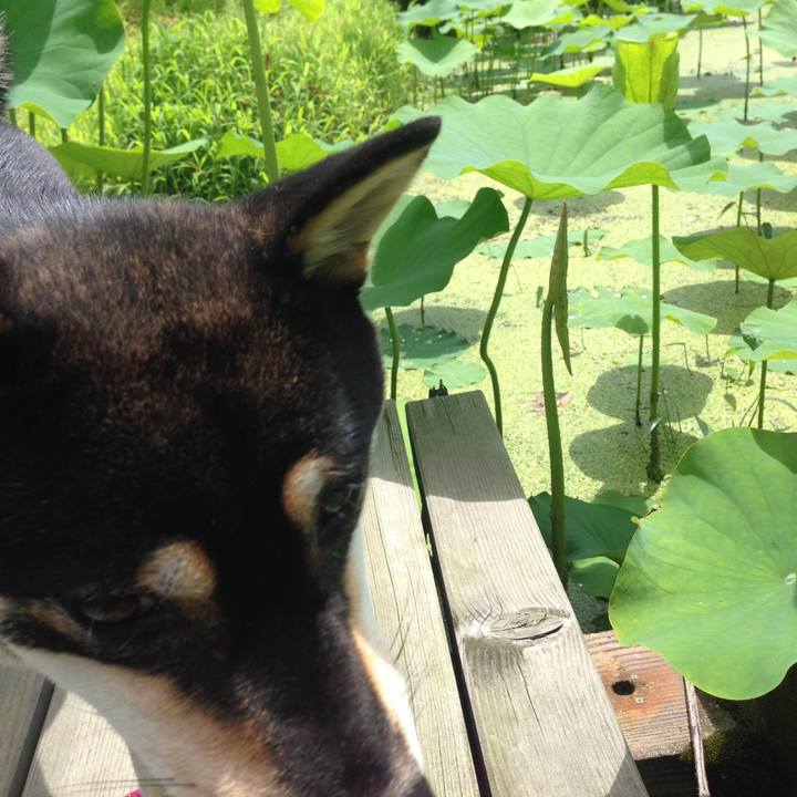 F4e6becf b596 4bb7 a8f4 cd4761168007