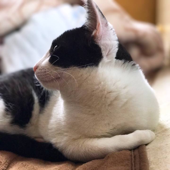 F4e7aa2e 722c 46d5 8bc6 493997a2b518