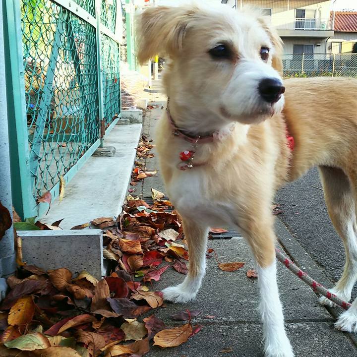 F4e8cbb7 bf25 469a b116 f22f6e3e248b