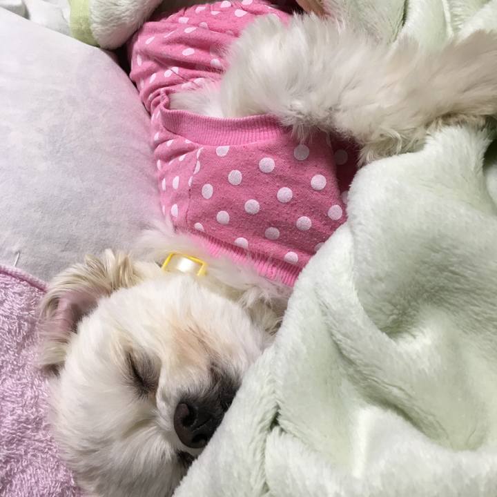 F4e8f664 293a 460f 931b 7b0bd85b7427