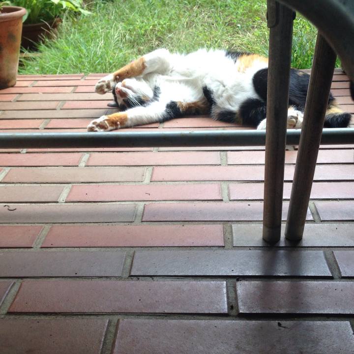 F4e97442 dade 44c4 9772 04d84ea3d049