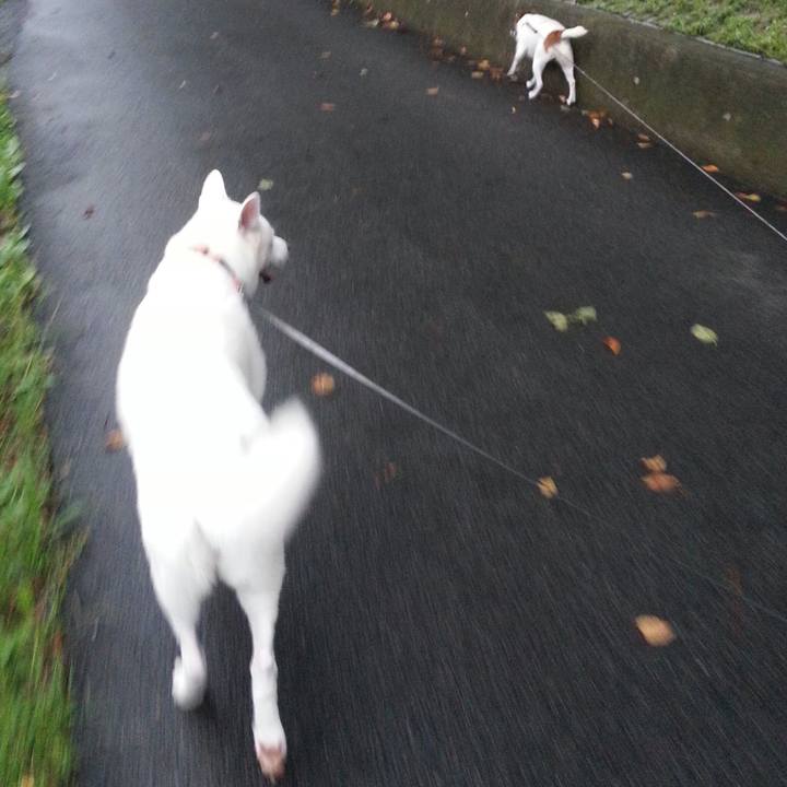 F4e97965 d13f 464d a4fe 88e6617ad9cd