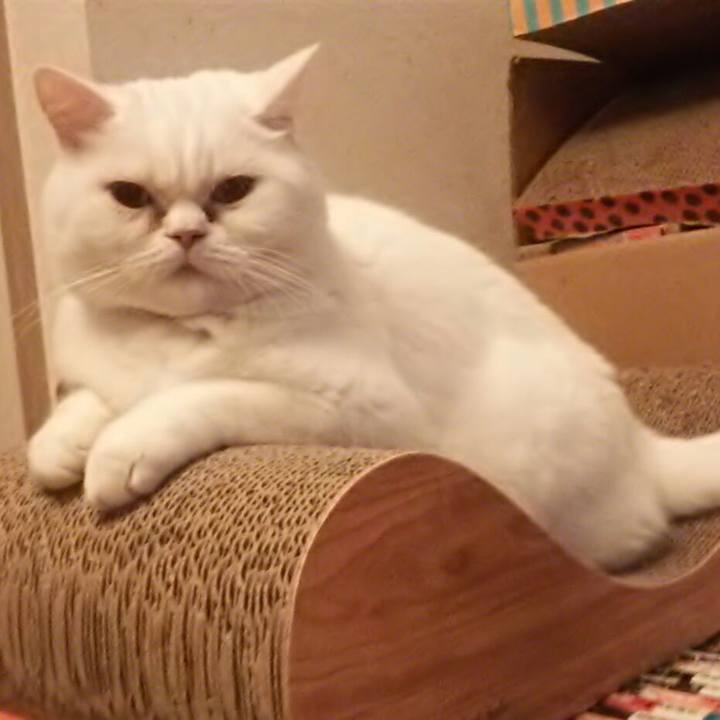 F4e9844e 6919 4343 8576 403f56fedc04