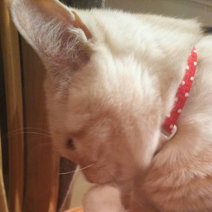 F4e9d482 a57a 46e9 8b88 4b948780cd2f