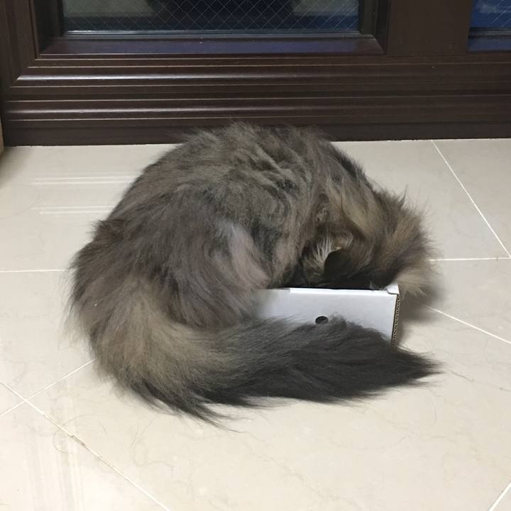 F4ea3ae3 3606 4907 b7a8 2a5cf99c3ef0