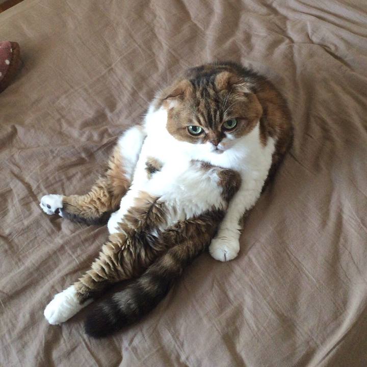 F4ea543d 43bb 4eca a062 5060940ef1ee